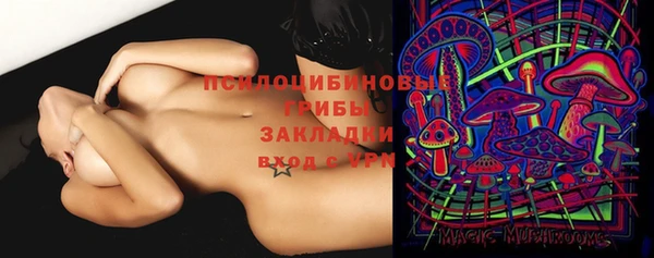 твердый Богородицк