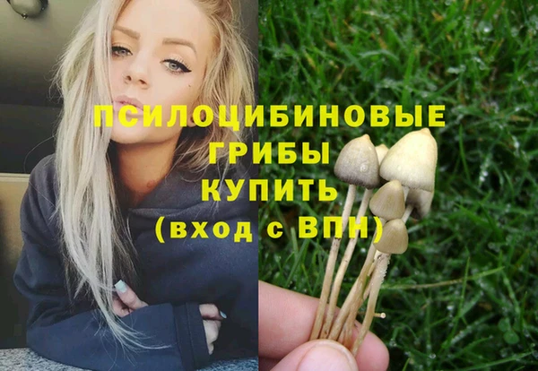 твердый Богородицк