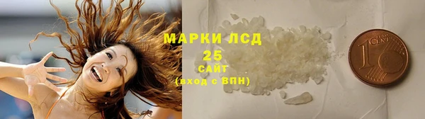 амф Гусиноозёрск
