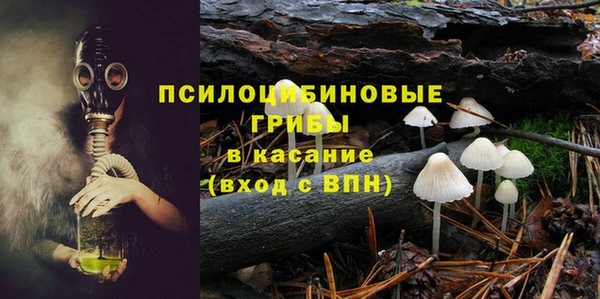 твердый Богородицк
