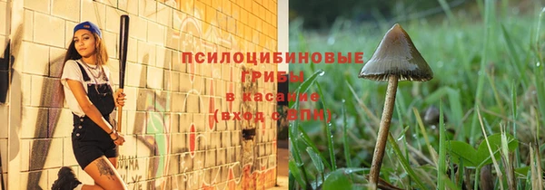 таблы Богданович