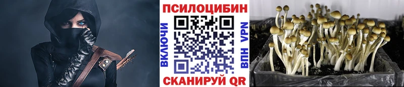 как найти закладки  omg маркетплейс  Галлюциногенные грибы мицелий  Кировск 
