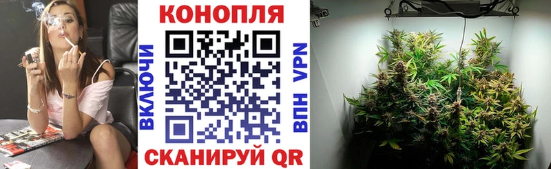 купить Кировск МЕГА ССЫЛКА Бошки марихуана семена